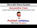 Latin Nouns and Their Cases