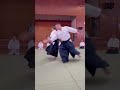 片手持ち小手返(ニ) #aikido #martialarts #合気道