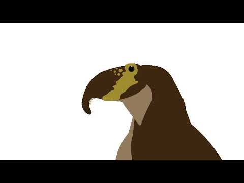 The Spinofaarus