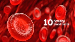 10  Amazing Blood Facts