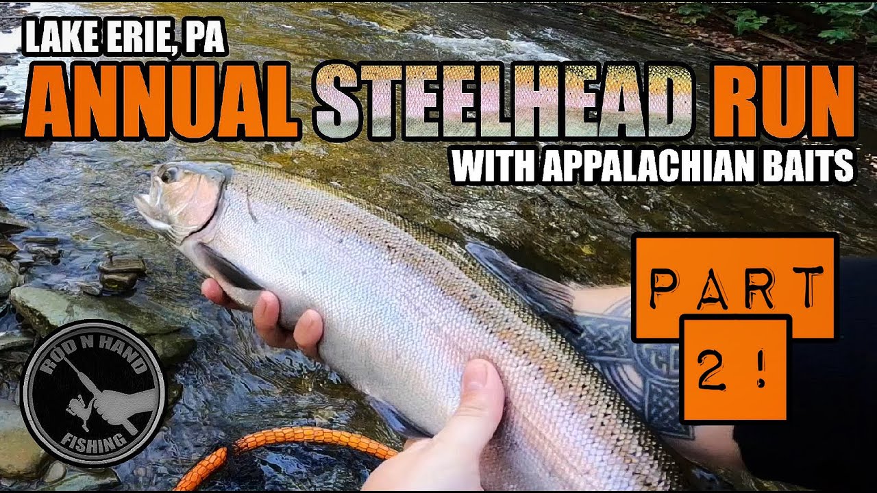 STEELHEAD TROUT FISHING Part 2 Lake Erie with Appalachian Baits 