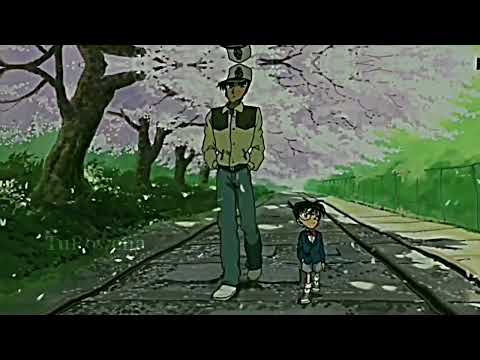 Video Một ngày nào đó chúng ta nhất định sẽ gặp lại! - youtube