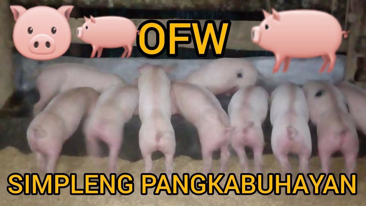 baboyang walang amoy pdf merge baboyang walang amoy pdf merge