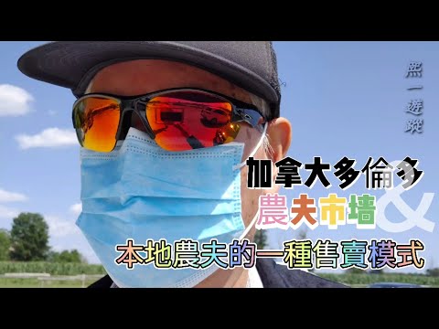 加拿大多倫多農夫市場，本地農夫的一種售賣模式!