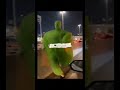 حيي سعودي حيو سعودي مافي زيو