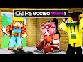 CHI HA UCCISO PHERE SU MINECRAFT?