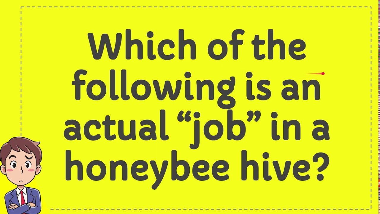 Which of the following is an actual “job” in a honeybee hive? YouTube