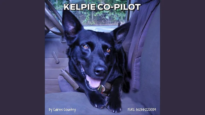 Kelpie Co-Pilot