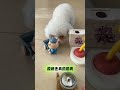 #喜爱度激励计划😂🔥🔥🔥