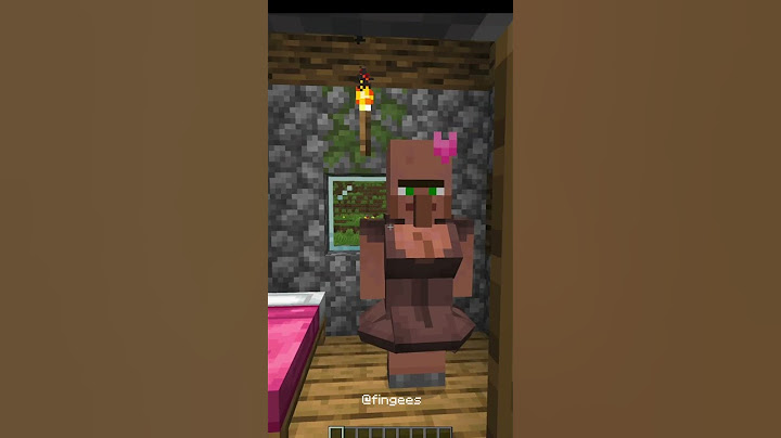 Girl Villagers in Minecraft 😳