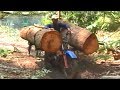 Extreme Motorbike Logging Transport - Carrying Heavy Loads on Difficult Roads