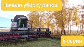 Начали уборку рапса. 6 серия.