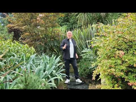 Николай Засидкевич - Зимний вечер