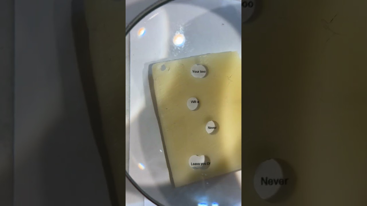 Ultra tiny love cheese