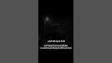 #محبي القرآن الكريم #اكتب شي تؤجر عليه #حمزه بوديب #ارح قلبك🫀 #سورة الضحى ❤️