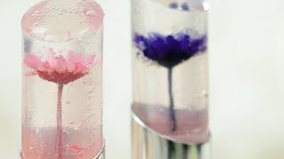 DIY  Flower Jelly Lipsticks＊優しく可憐♡話題のkailijumeiフラワーリップを簡単DIY