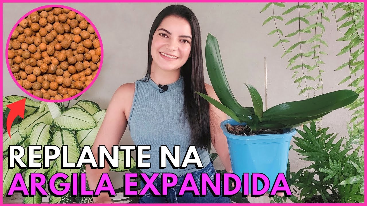 COMO PLANTAR ORQUÍDEA NA ARGILA EXPANDIDA? ☝️🌸