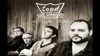 TOAD THE WET SPROCKET * All I Want 1992 HQ