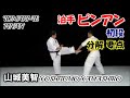 TOMARI-TE PINAN YOSHITOMO YAMASHIRO KARATEDO KATA 山城美智 泊手 ピンアン教範 空手道形