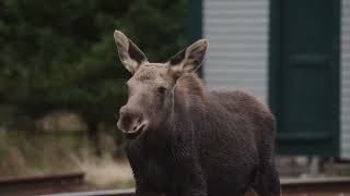Anchorage, Alaska - Discover