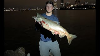 Catching early salmon in the harbor on an east wind in milwaukee