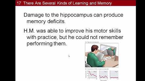 Biological Psychology: Chapter 17