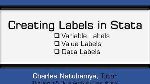 Creating Labels in Stata   by Charles Natuhamya