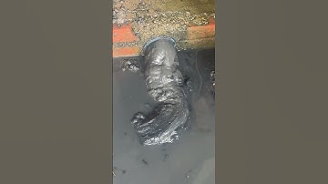 This Culvert Pipe Always Clogged By Mud #unclog #clean #drain #shorts