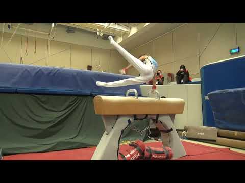 Kwong Kai Yin Pommel Horse (Hong Kong Open 2023) - 15 Jan 2023