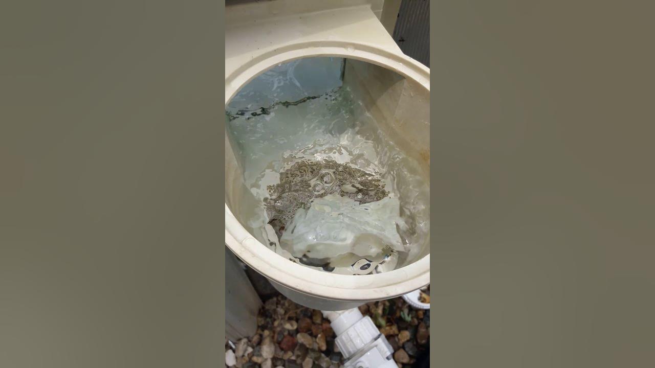 Get a crystal clear pool using Magic Erasers!!! YouTube