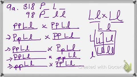 AP Chapter 11 part 3 working backwards