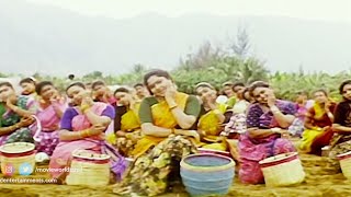 Singarama Nalla Oyyarama Song | Swarnalatha | Periya Marudhu Movie | Vijayakanth | Ilaiyaraaja Video