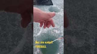 Вот это клёв! FIREBALL