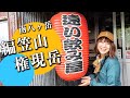 【日帰り登山】南八ヶ岳、編笠山・権現岳でアブアブパニック！！！気持ちいい登山の最後に受ける八ヶ岳の洗礼。山なめんなよ！