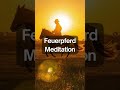 Feuerpferd Meditation