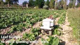 #Oz - 2016 - Autonomous weeding robot