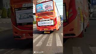 Suara Knalpot Pri Pri Gading Transbusmania basuriviralnadaviral fypviral kingtripid