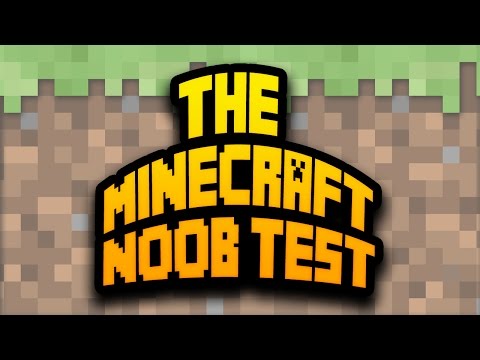 Minecraft Noob Test Are You A Noob Youtube - are u a roblox noob or pro take the quiz