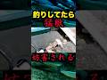 【猛獣被害】釣りしてたら猛獣に妨害される！#バス釣り#猛獣