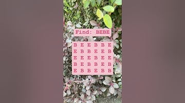Observation Visual Test: 5 Seconds For You To Spot BEBE. Try Your Skills!  #search #puzzle #shorts