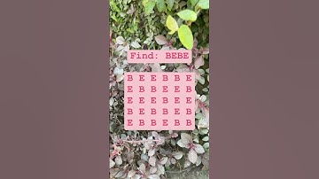 Observation Visual Test: 5 Seconds For You To Spot BEBE. Try Your Skills!  #search #puzzle #shorts