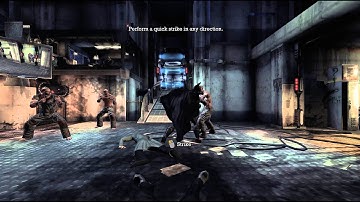 Batman Arkham Asylum   played on Linux Mint 14 Fasted