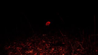 Sätilä - Coward (Official Video)