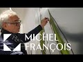 Michel franois  feuilles flaques anneaux et sdiments