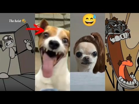 The Most funniest videos on the internet 😂😂😂😂😂|Maturity test. - YouTube