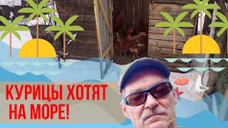 Не было печали.........