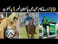 10 things which make pakistan a top country in world  interesting facts about pakistan  infoio