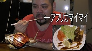 何も言わずにアフリカマイマイを食べさせてみた【どっきり】