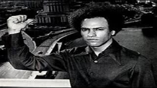 The Paper Panthers    (The Huey Chapters)