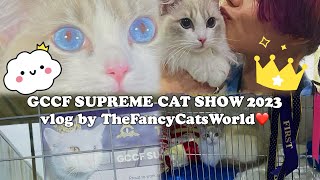 GCCF supreme cat show 2023 vlog by TheFancyCatsWorld❤